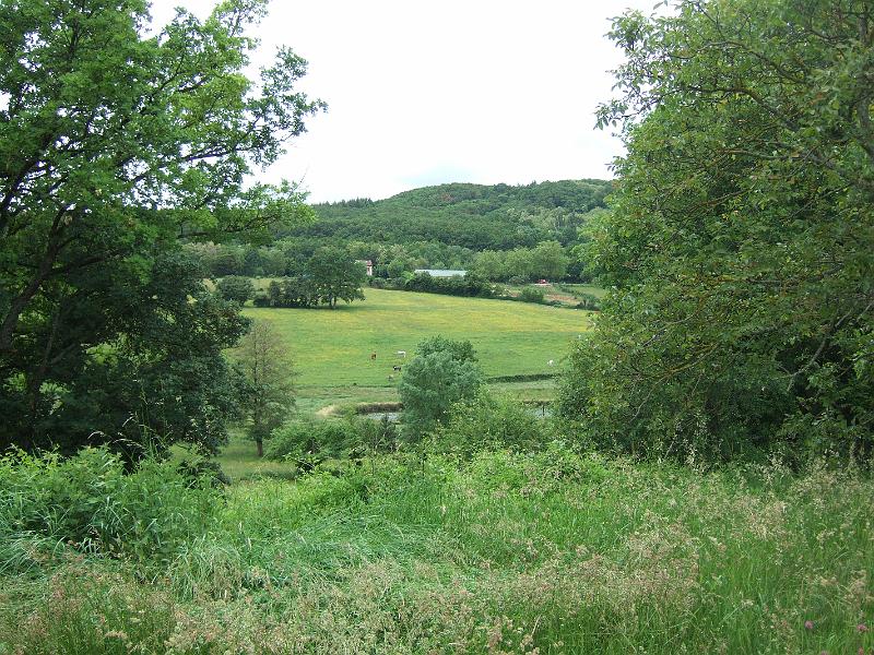 2010-05- (41).JPG
